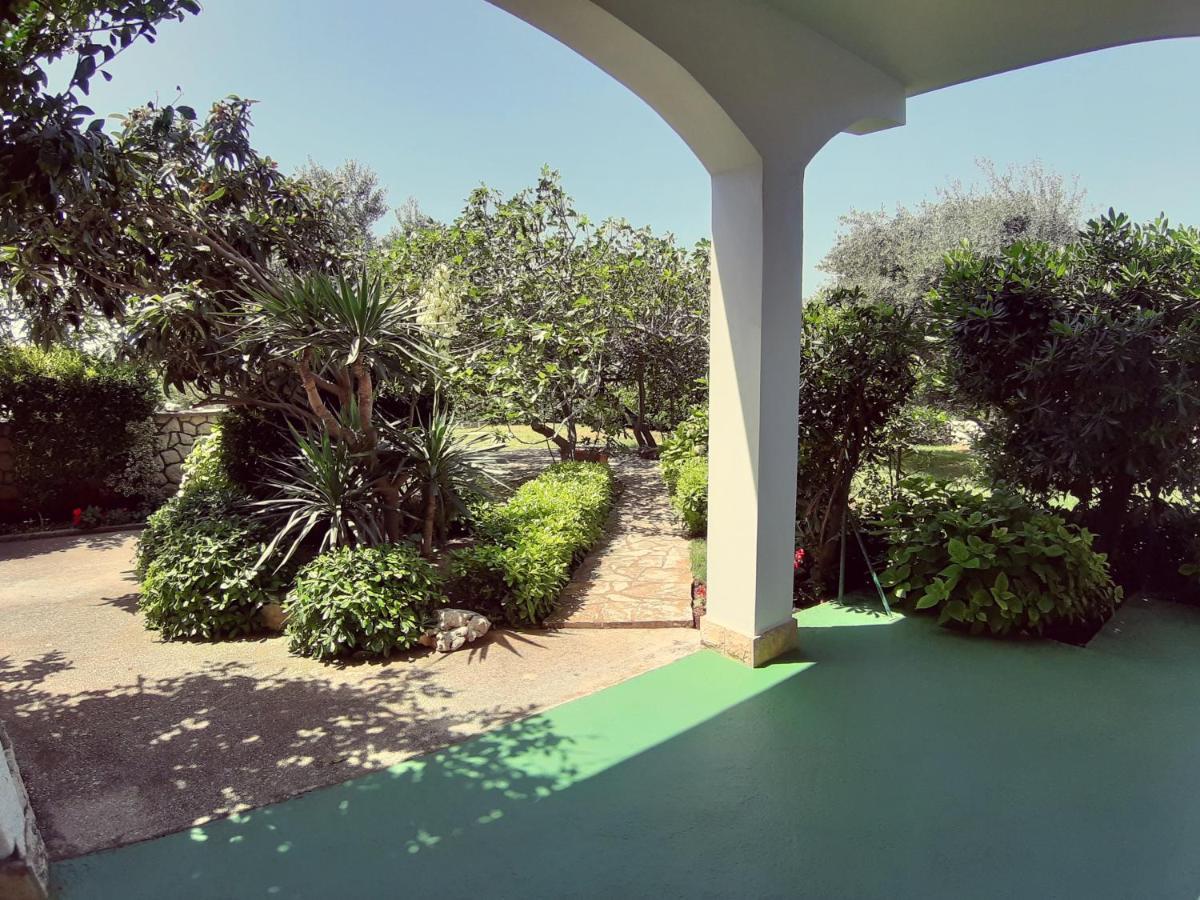 F• R• I• E• N• D• S• Bed and Breakfast Novalja Εξωτερικό φωτογραφία